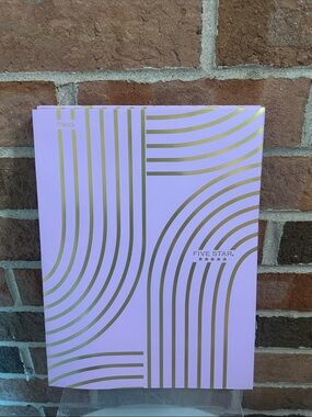 Five Star Pink folder 2 pocket with Gold Curve Accent (5)